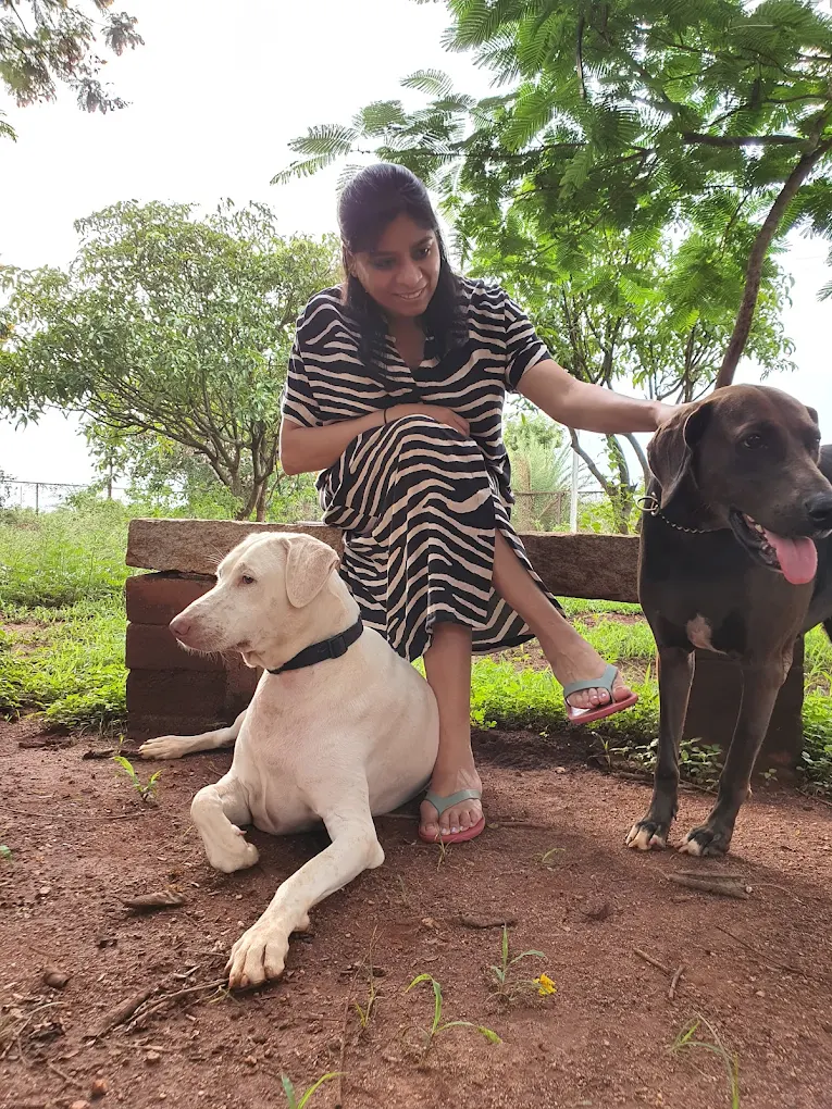 peacock-ridge-resort-swimming-pool-night